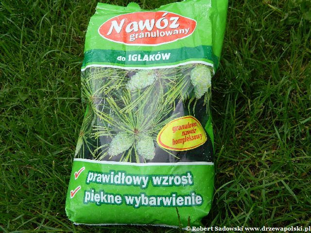 nawóz do iglaków nawóz do iglaków
