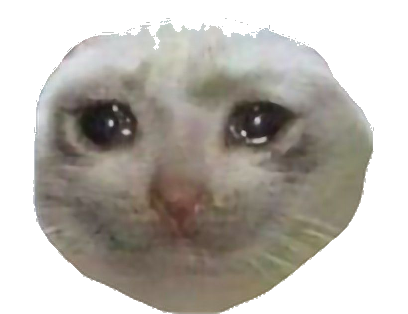 sad-cat-thumbs-up-meme-png-andrewstevenwatson