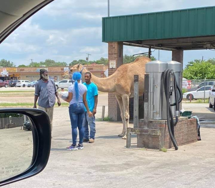 Camel Car Wash Hours Camel Premium Express Car Wash In
