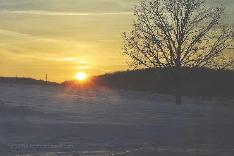 DSC_0577re (800x533)