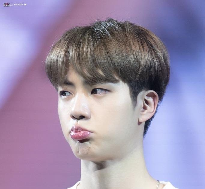Bts Jin Younger Sister Age - BTSMAYR