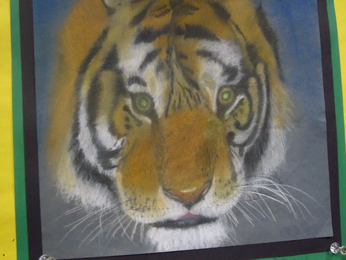 tiger