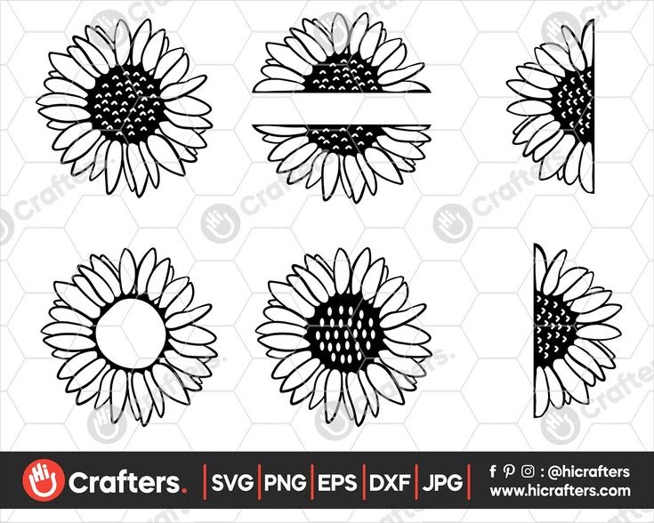 6191 Sunflower Outline Svg Free SVG PNG EPS DXF File