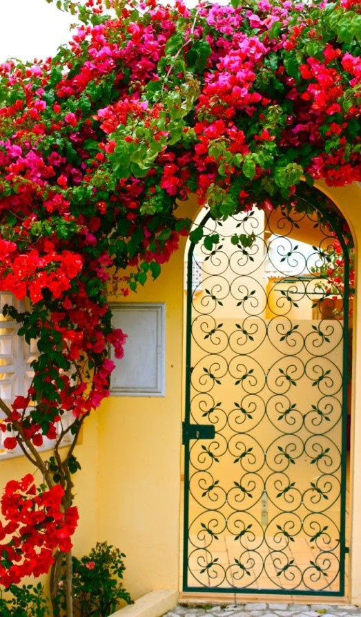 http://www.pinterest.com/pin/58828338857104542/ Colorful courtyard gate entry in the Faro District of Olhos de Água, Portugal • photo: Guizel J.c on Panoramio