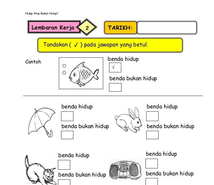 Soalan Peperiksaan Sains Tahun 2  Jiran