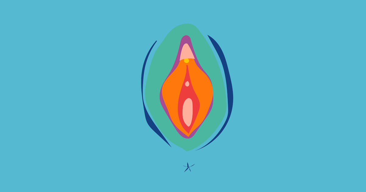 Female Private Part Diagram / Female Anatomy Body Parts Their Functions