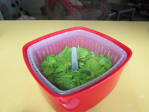 steamed
