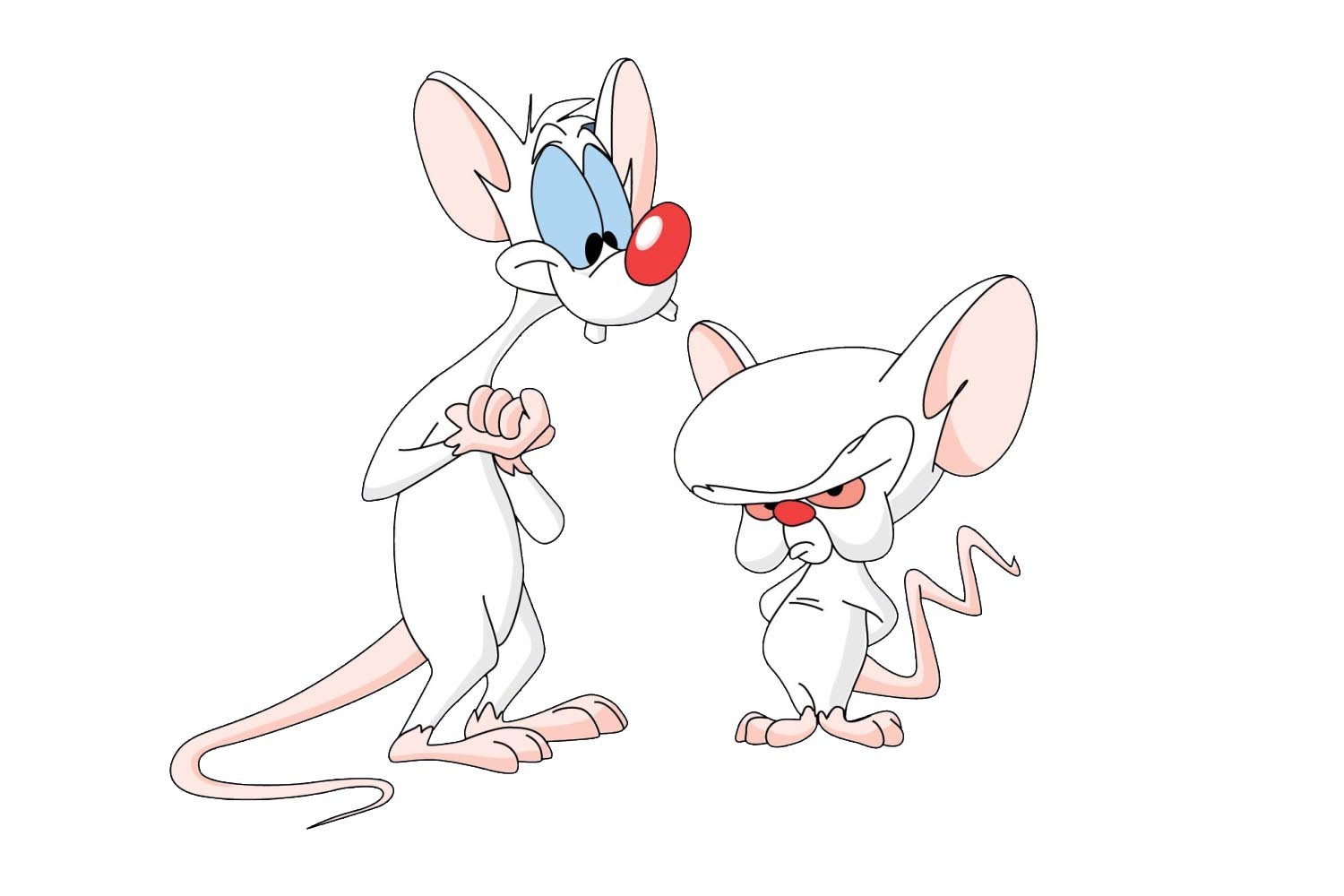 Пинки мышь. Пинки. Пинки и Брейн на белом фоне. Пинки мышь из мультика.