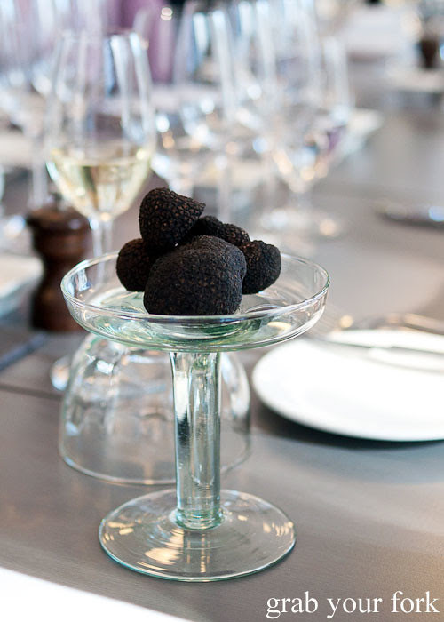 Truffle hunt at the Canberra Truffle Festival - Grab Your Fork: A ...