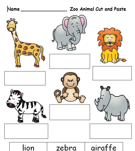 Free Worksheets On Zoo Animals - JOMKEIRC