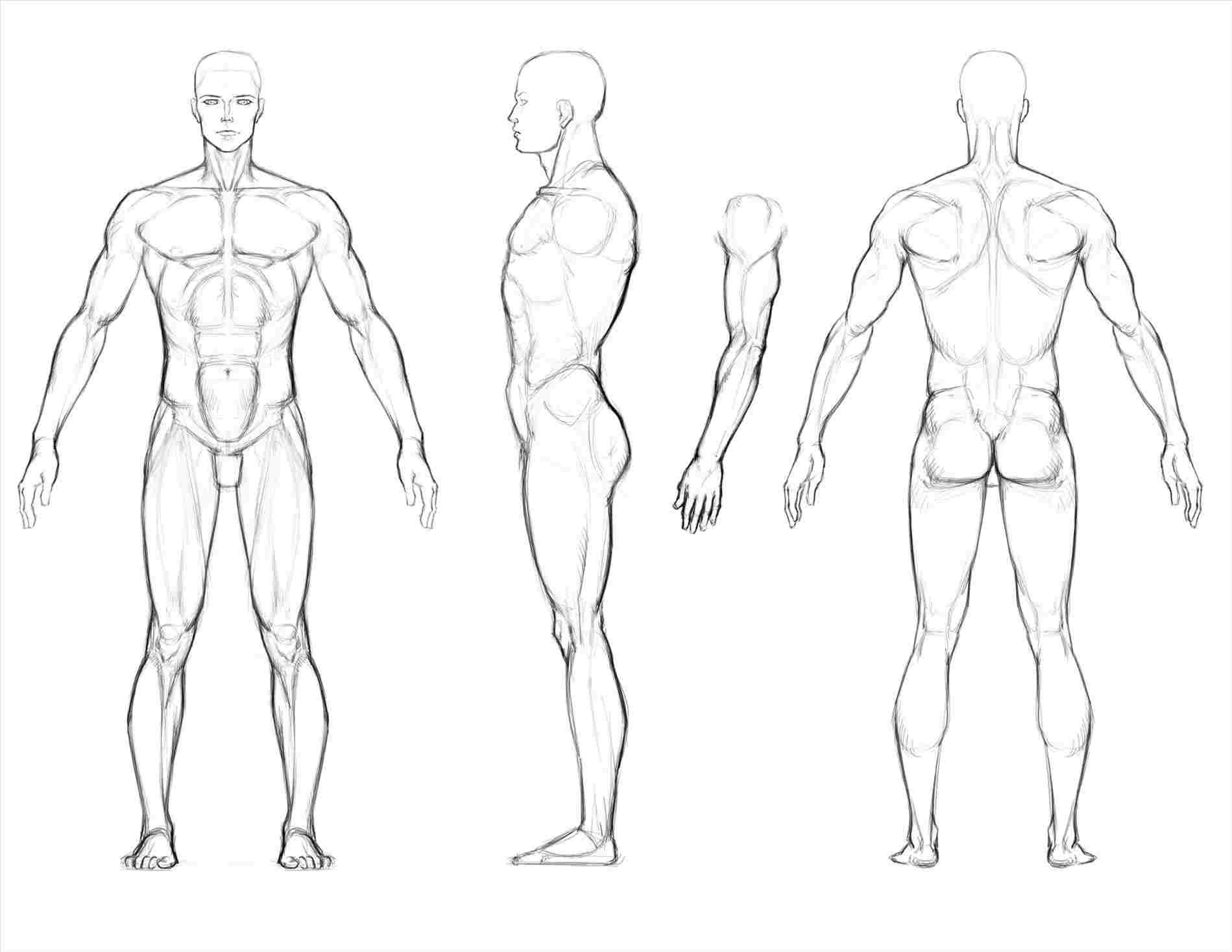 Man Body Drawing Easy - magical-return
