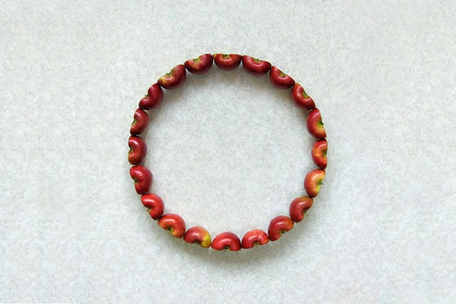 The Geometric Food Art of Sakir Gökçebag The Geometric Food Art of Sakir Gökçebag vegetables geometry fruit food