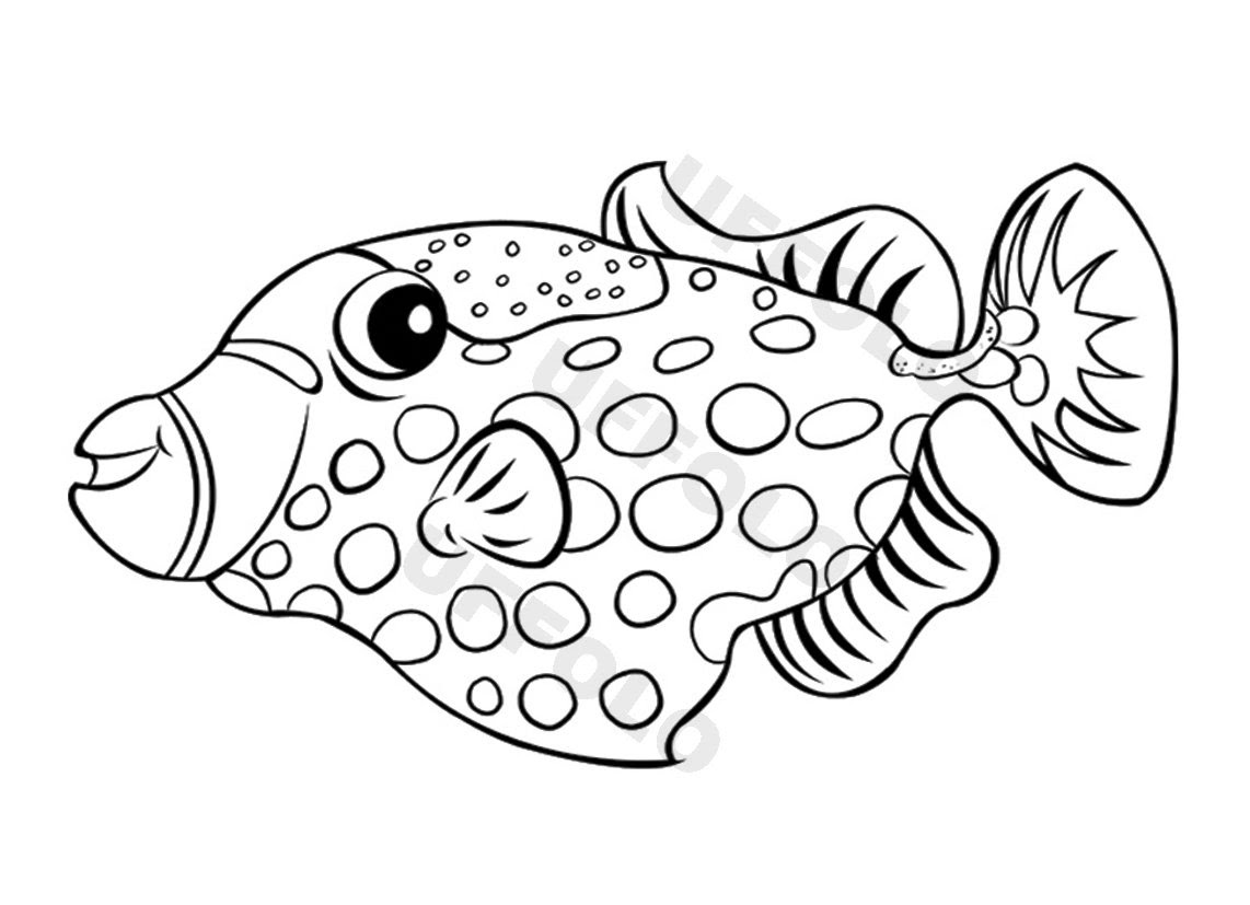 Impressionante Pesce Donzella Disegno Da Colorare Migliori Pagine Da