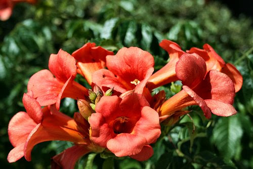 20090612-vs-9290