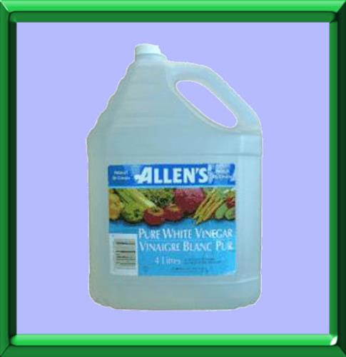Desherbant Naturel Avec Du Vinaigre Et A Laube