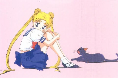 9 coisas divertidas de Sailor Moon que você não sabe - Aficionados