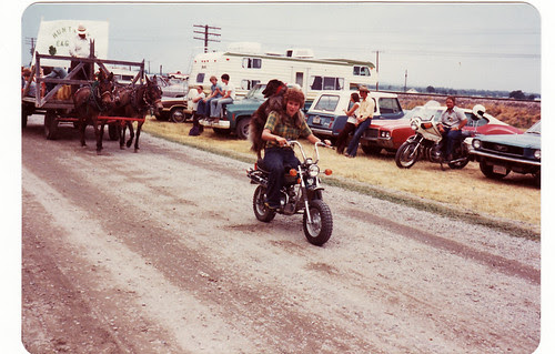 motorcycle dog