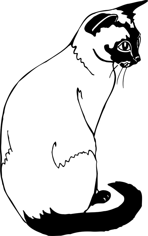 Realistic Siamese Cat Coloring Pages