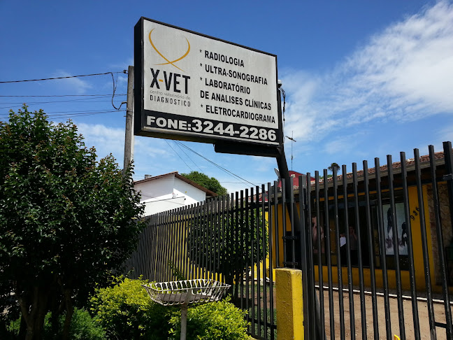 X-Vet - Centro Veterinário de Diagnóstico - Curitiba