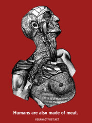 Humans are also made of meat / L@s human@s también estamos hech@s de carne