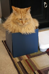 Perfect fit