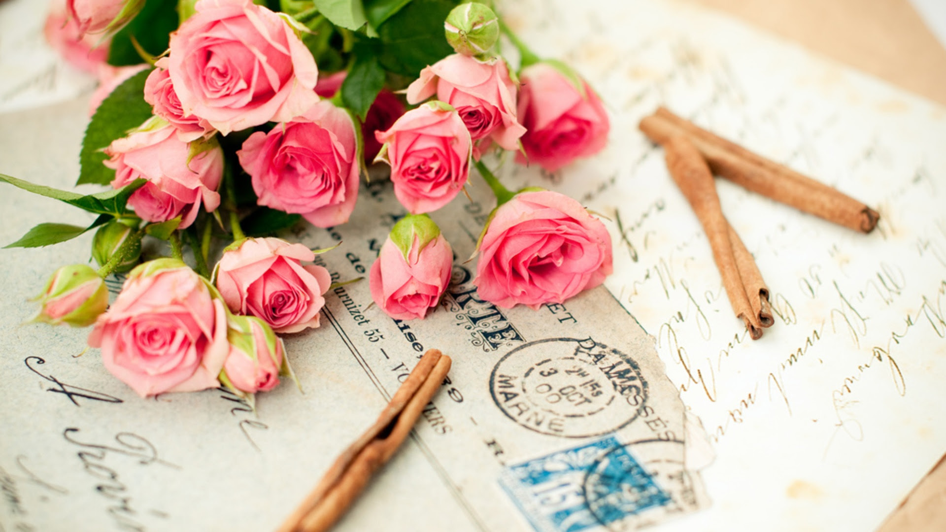 美しい花の画像 ベスト50 ピンク バラ 壁紙