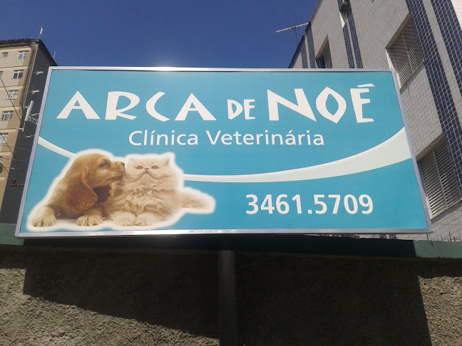 Avaliações sobre Arca de Noé Clínica Veterinária em Belo Horizonte - Veterinário