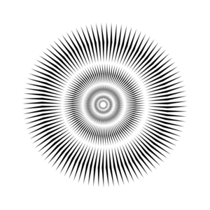 Your animation