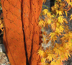 sue's shawl