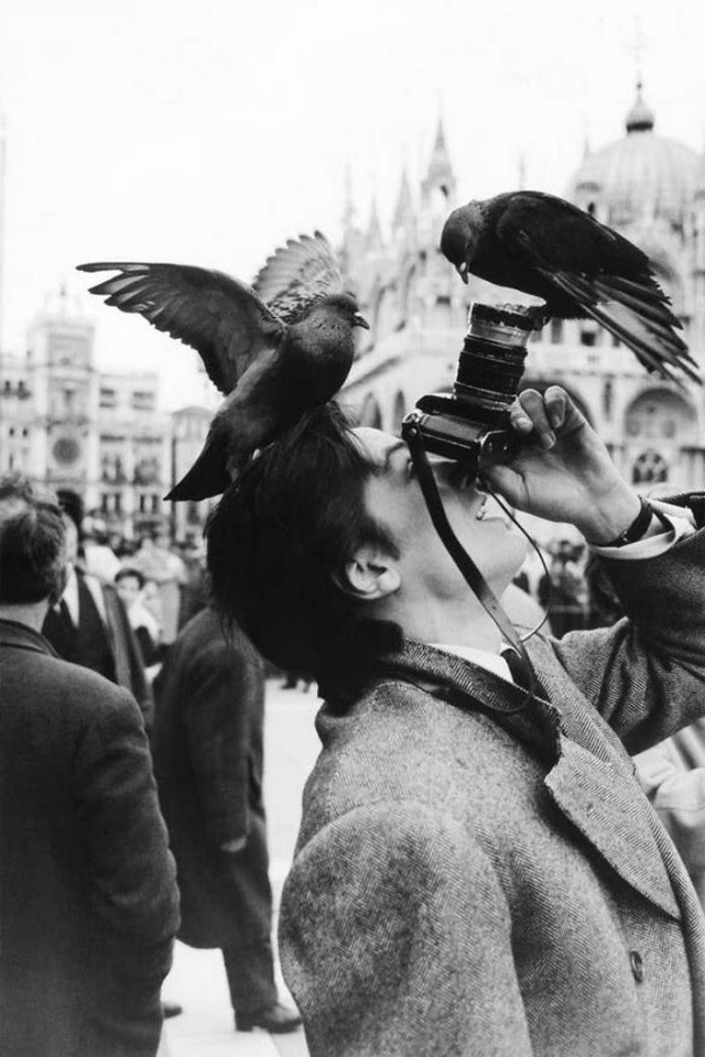 Photographer Photographer
