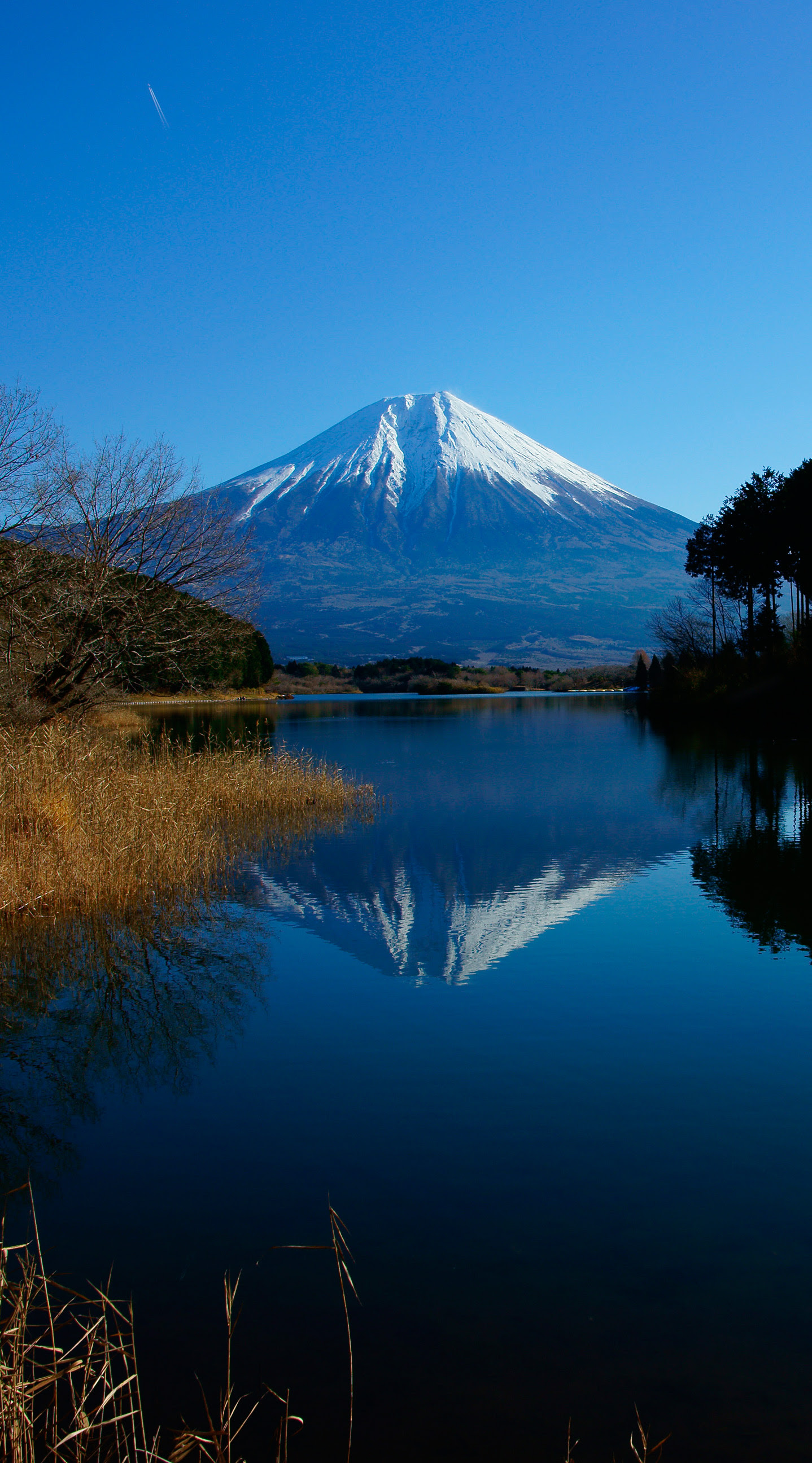 ユニーク待ち受け 富士山 壁紙 高 画質 すべての美しい花の画像