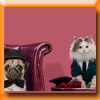 CARREFOUR - CONCOURS PHOTO CARREFOUR - CONCOURS PHOTO