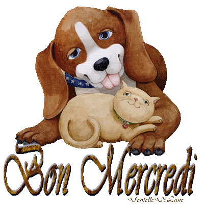Derniere Bonjour Mercredi Gif Anime Abdofolio