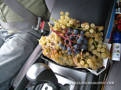 grapes in car