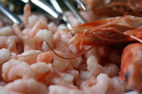 Prawns