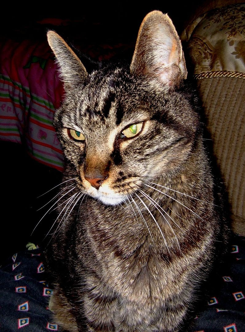 photo Boo.jpg