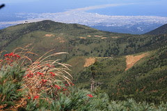 Aomori from OOdake