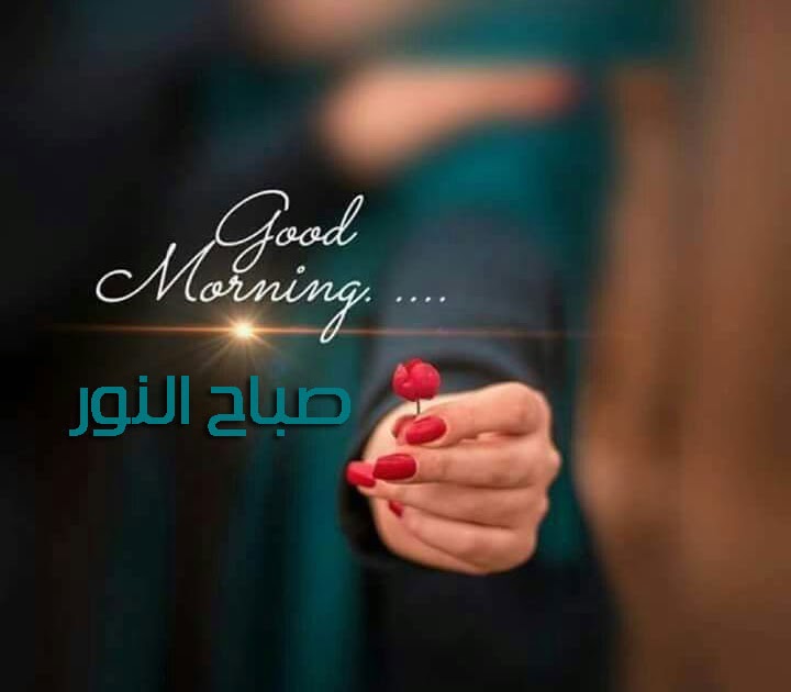 صباح الخير حبيبي شعر تويتر Makusia Images