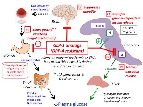 diabetes acid ketosis symptoms