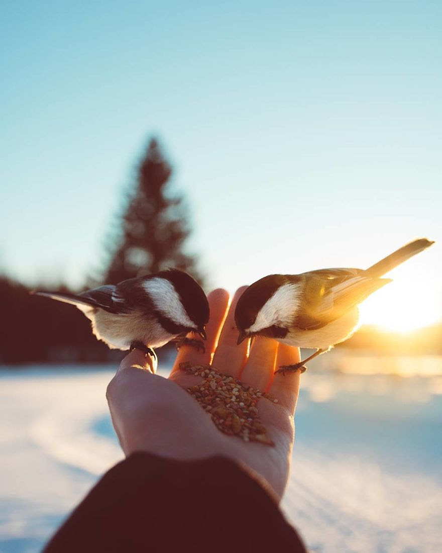 How I Got Seduced By Wildlife Photography How I Got Seduced By Wildlife Photography