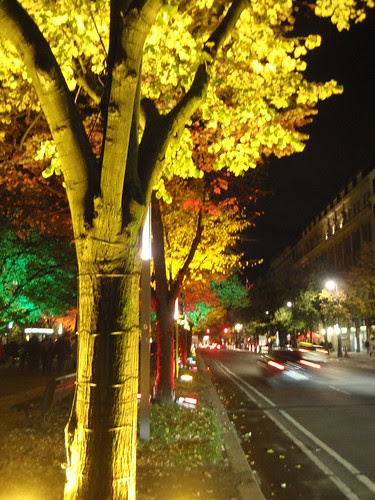 Unter den Linden - Nacht der Lichter