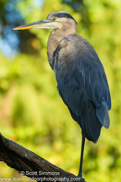 Photo & Video Sharing by SmugMug Photo & Video Sharing by SmugMug