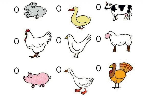 Imagenes De Animales Oviparos Y Viviparos Para Dibujar - vdbosjes