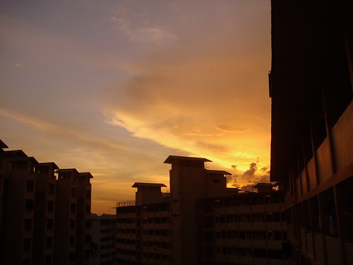 The captivating sunset