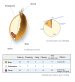 English: A wheat kernel and its nutritional va... English: A wheat kernel and its nutritional va...