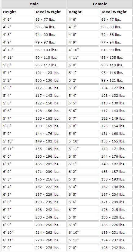 British Shorthair Growth Chart - British Shorthair