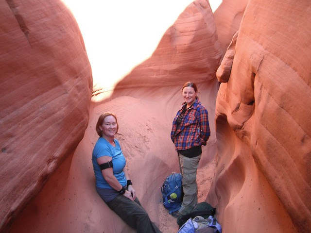 in the main fork