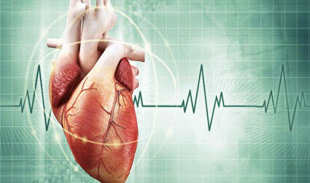 Удивительные факты о человеческом сердце интересное, наука, сердце, факты