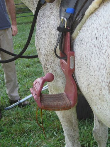 Side Step Safety Stirrup