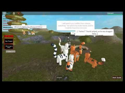 morphs glitches